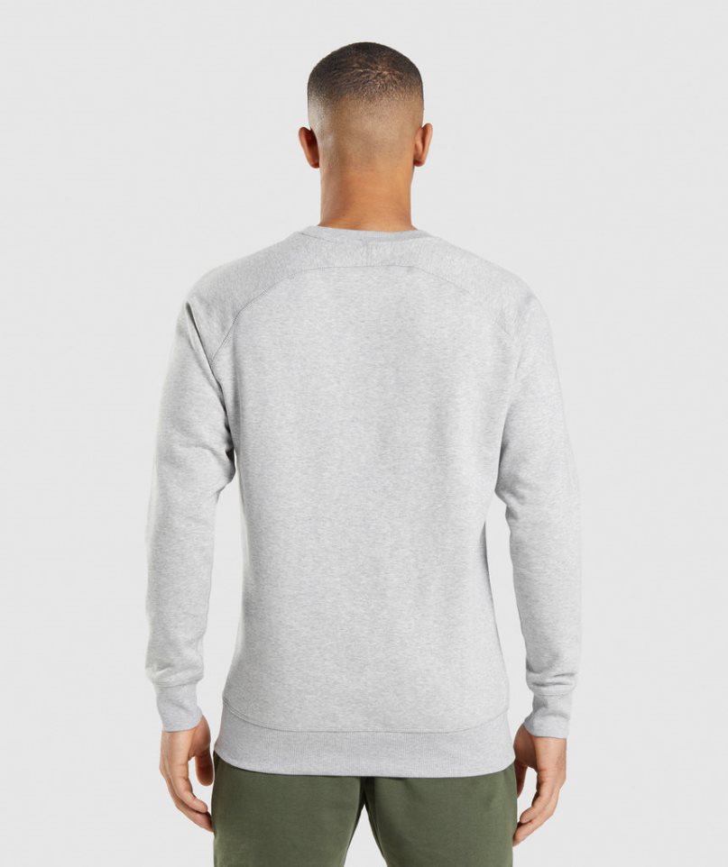 Men's Gymshark Crest Sweatshirts Light Grey | CA A63178